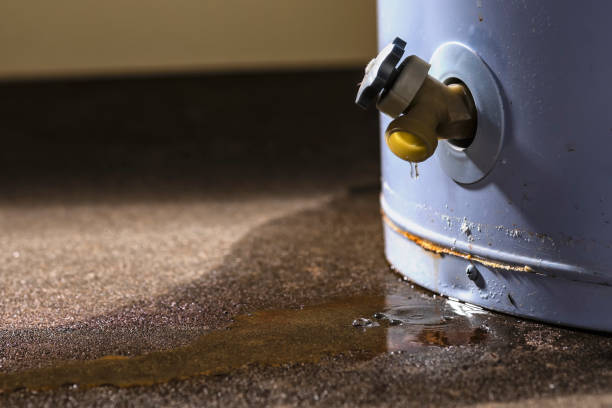Best Flood restoration services  in Oxnard, CA