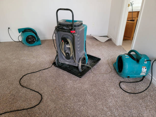  Oxnard, CA Water damage restoration Pros