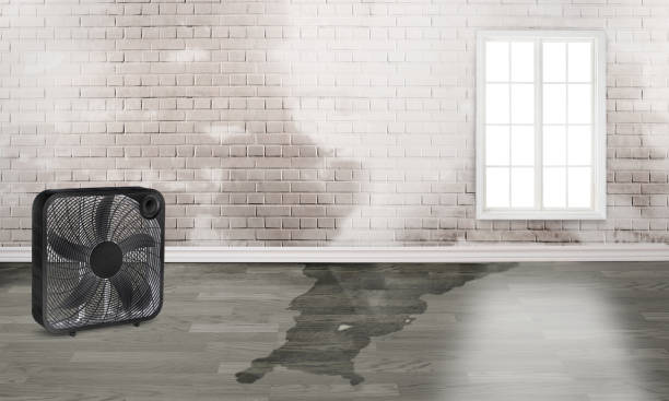 Best Local water damage restoration  in Oxnard, CA